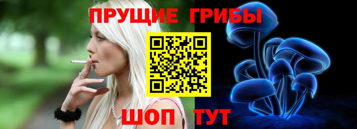 Галлюциногенные грибы Cubensis Благодарный