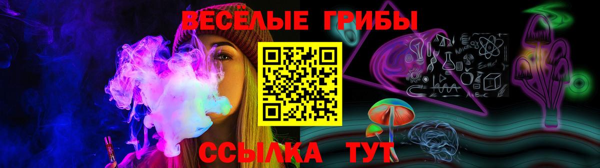 Псилоцибиновые грибы Magic Shrooms  Вход с VPN  Псилоцибиновые грибы Magic Shrooms  что такое   Благодарный 